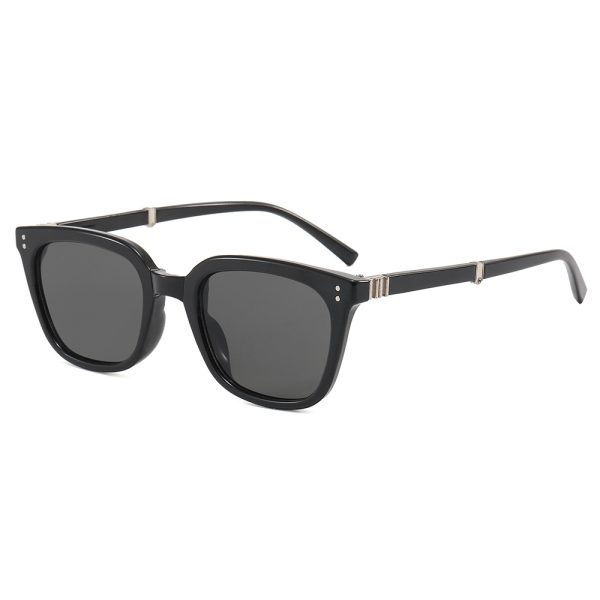 LX-556      Fashion sunglasses-fold