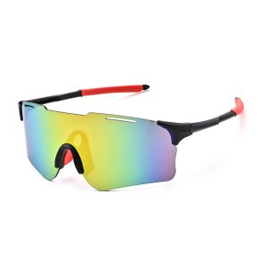 2 LX-1065- sports glasses